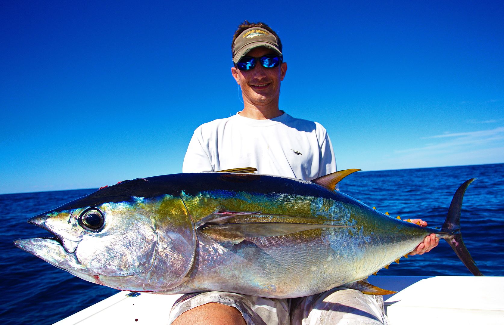 Yellowfin Tuna, New Jersey August 2015
